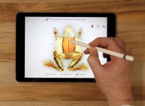 apple-pencil-ipad-sign.jpg