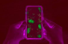 smartphone-coronavirus-dirty-germs.jpg