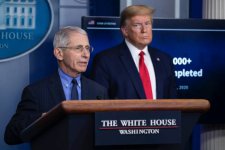 anthony-fauci-donald-trump.jpg