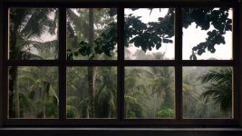 Relaxation-Windows-4K-Nature.jpg