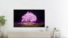 lg-oled-tv.jpg